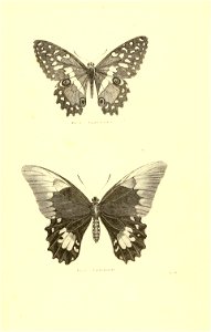 n69_w1150