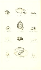 n177_w1150