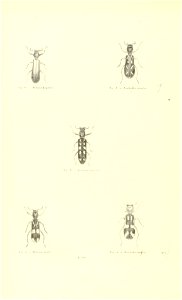 n159_w1150