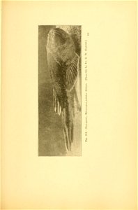 n774_w1150
