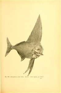 n498_w1150