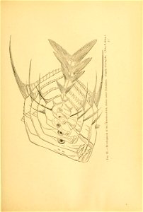 n62_w1150
