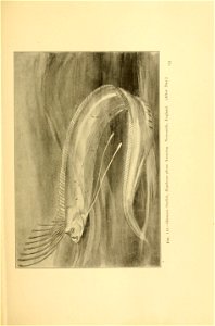 n184_w1150