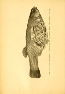 n59_w1150