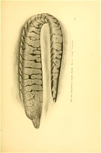 n410_w1150