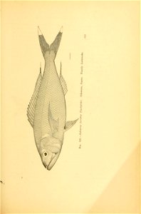 n592_w1150
