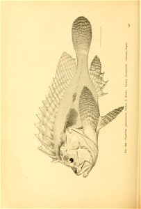 n703_w1150
