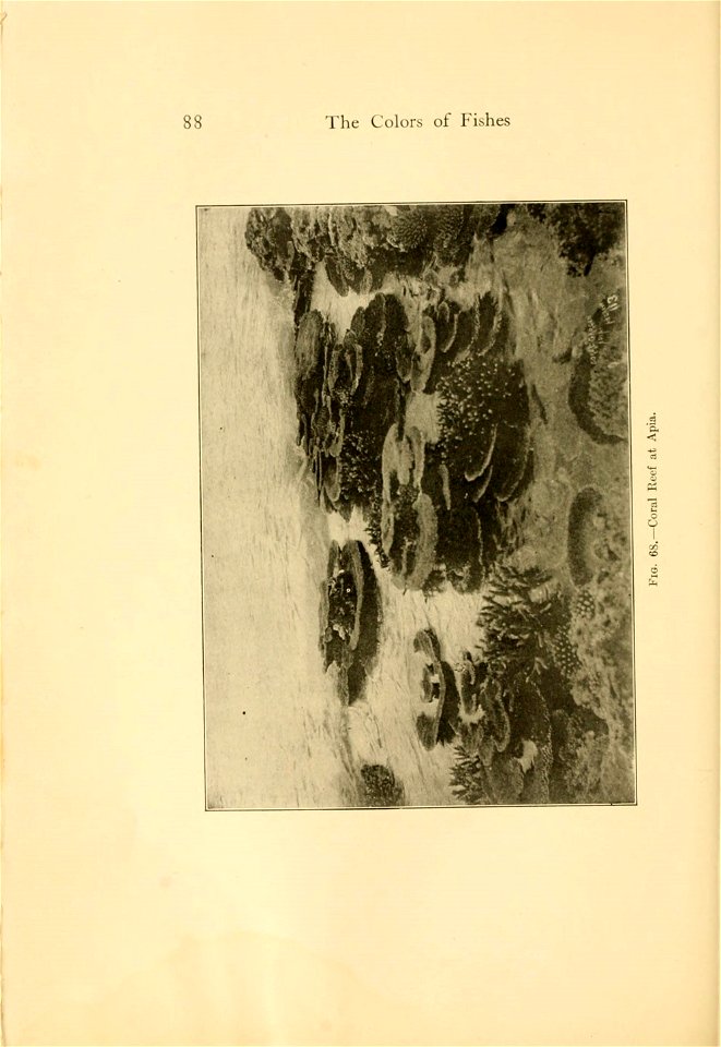 n117_w1150