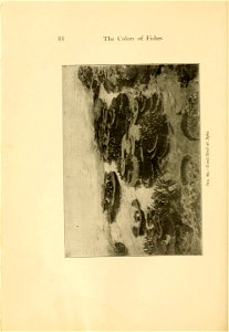 n117_w1150