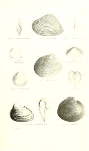 n312_w1150