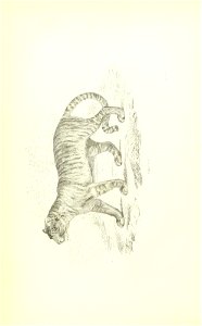 n69_w1150