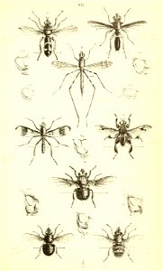 n502_w1150