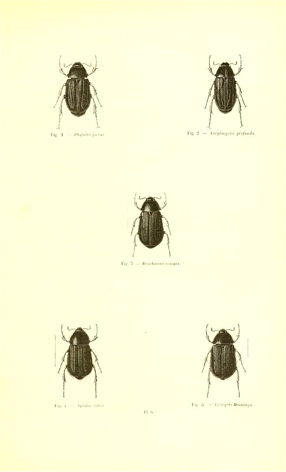 n40_w1150