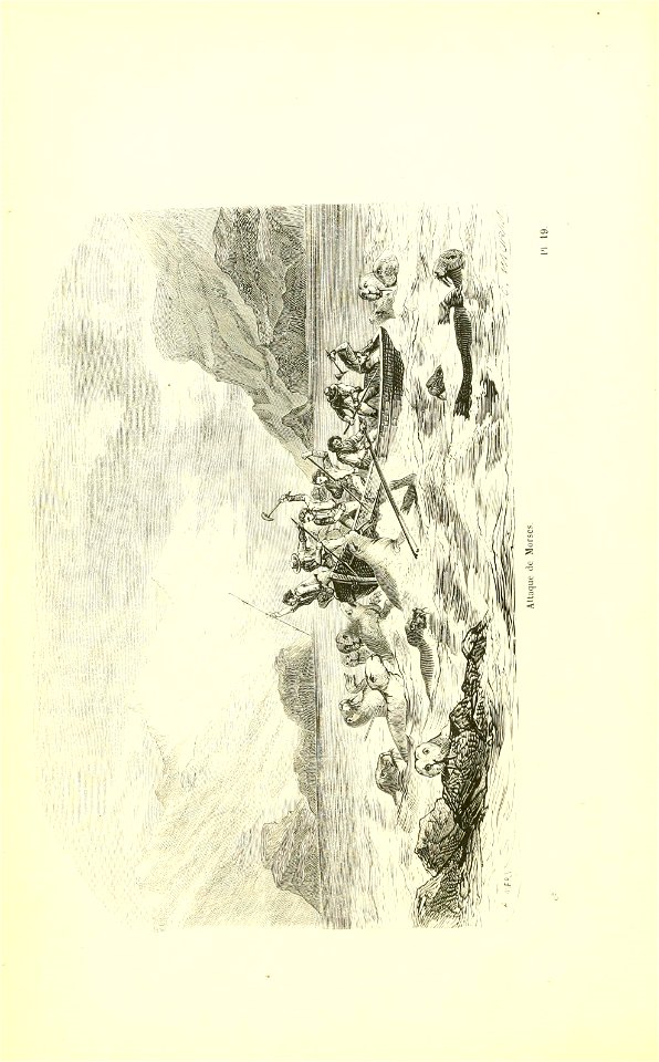 n197_w1150