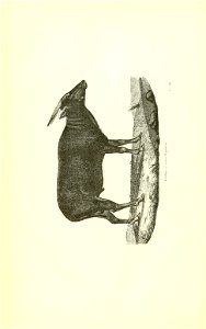 n315_w1150