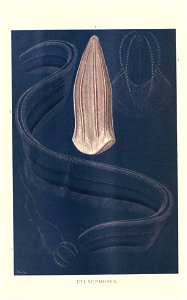 n519_w1150