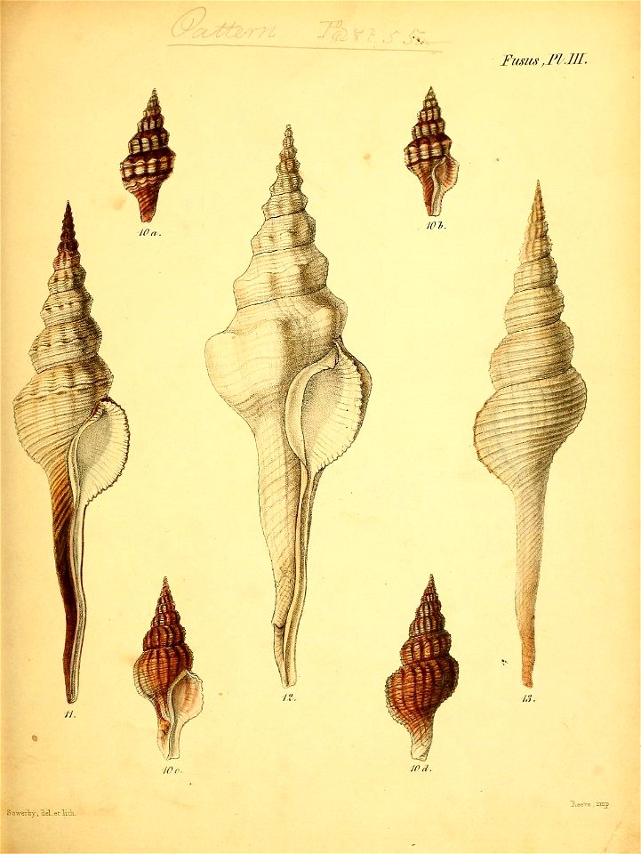 n462_w1150