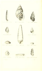 n183_w1150