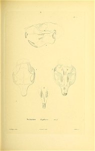 n192_w1150