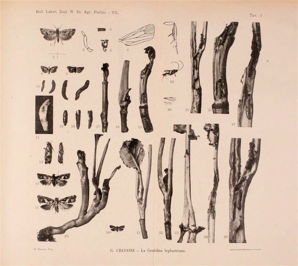 n160_w1150