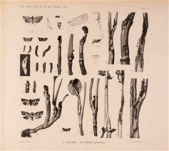 n160_w1150