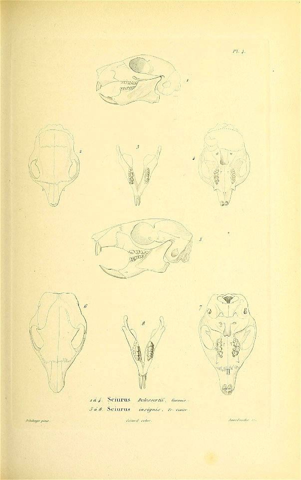 n190_w1150