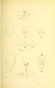 n190_w1150