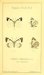 n114_w1150