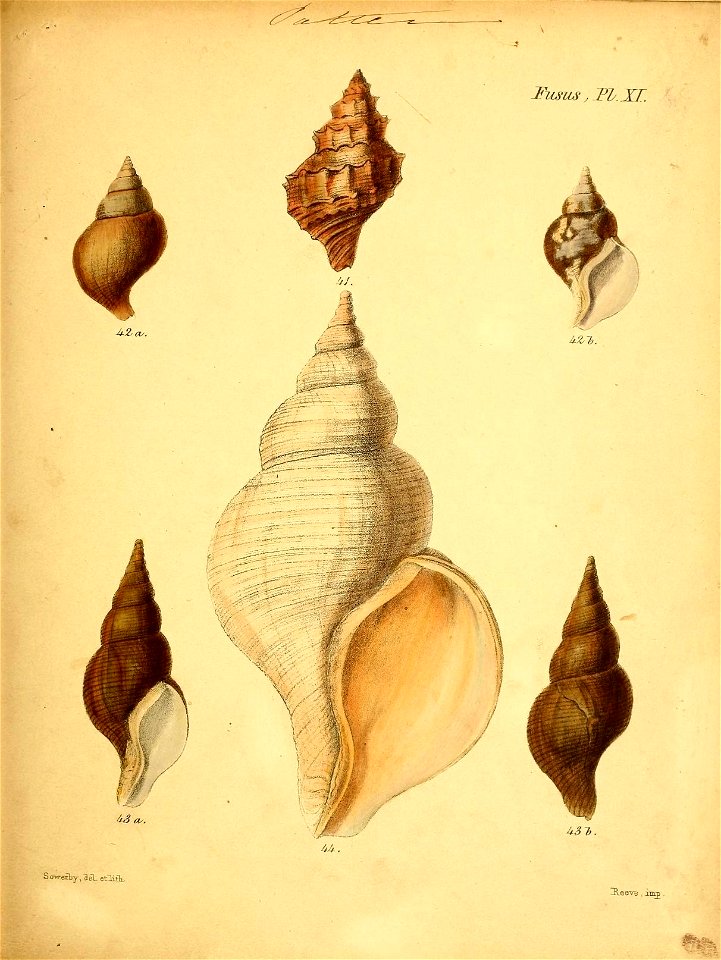 n504_w1150