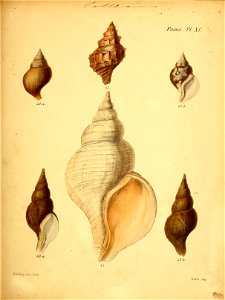 n504_w1150