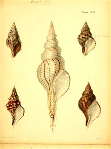 n456_w1150