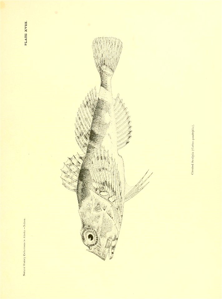 n346_w1150