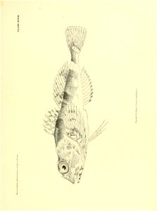 n346_w1150