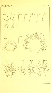 n152_w1150