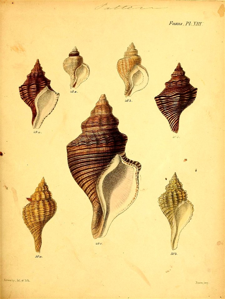 n516_w1150