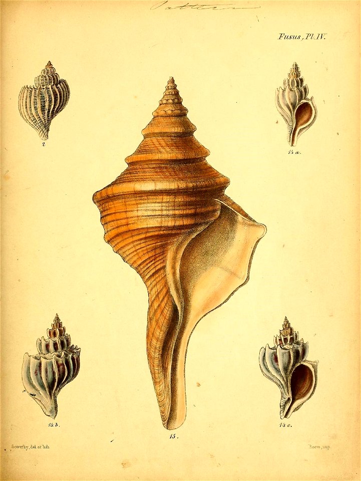 n468_w1150