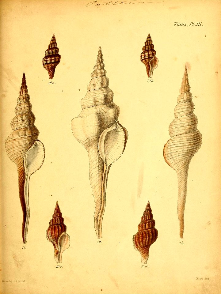 n464_w1150