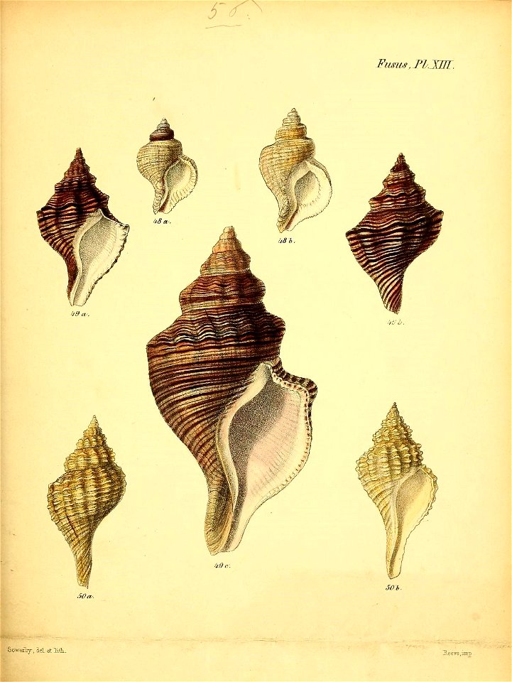 n514_w1150