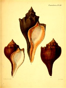 n416_w1150