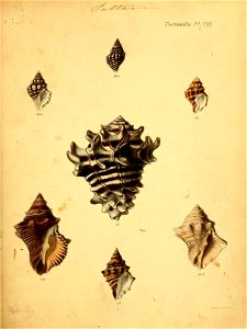 n366_w1150