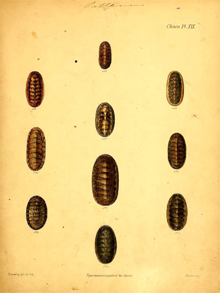 n168_w1150