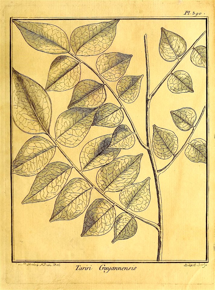 n404_w1150