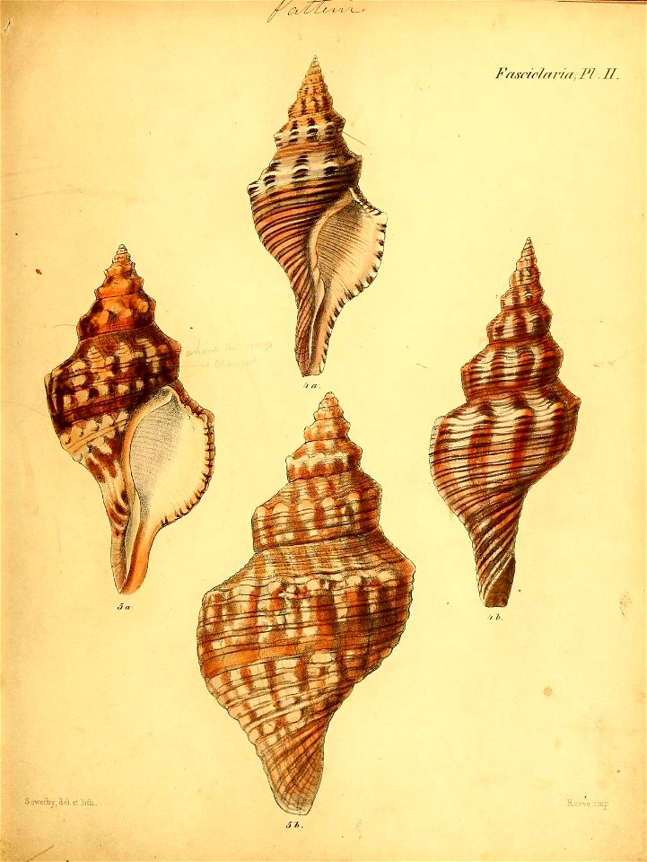 n412_w1150