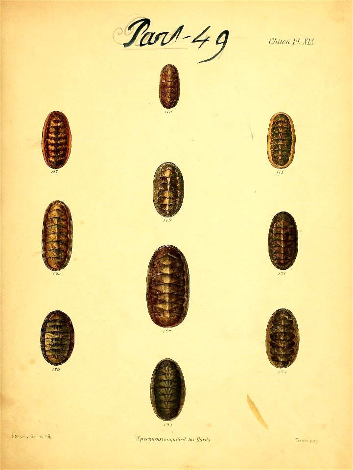 n166_w1150