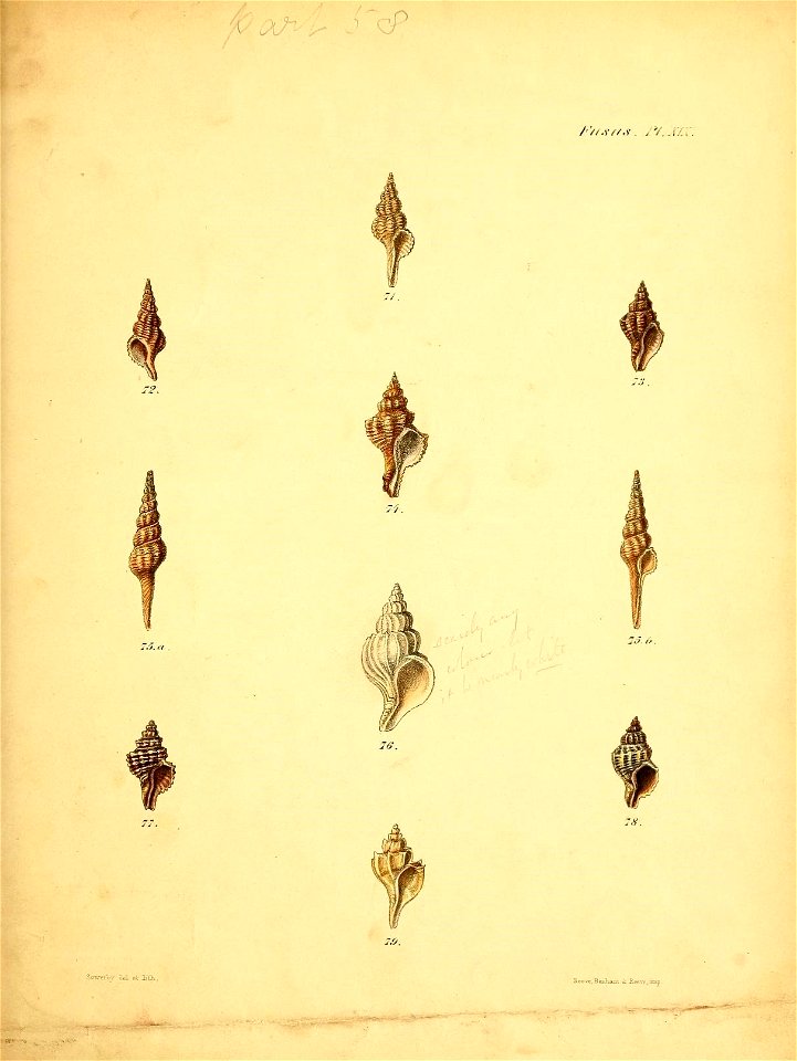 n552_w1150