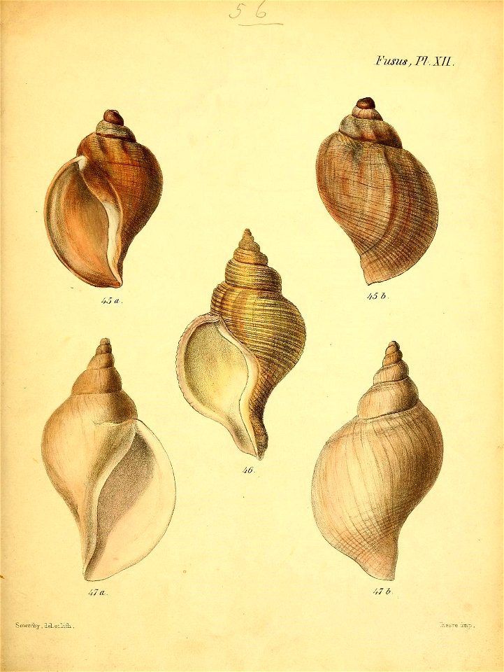 n508_w1150