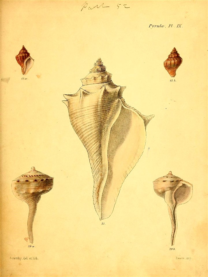 n312_w1150