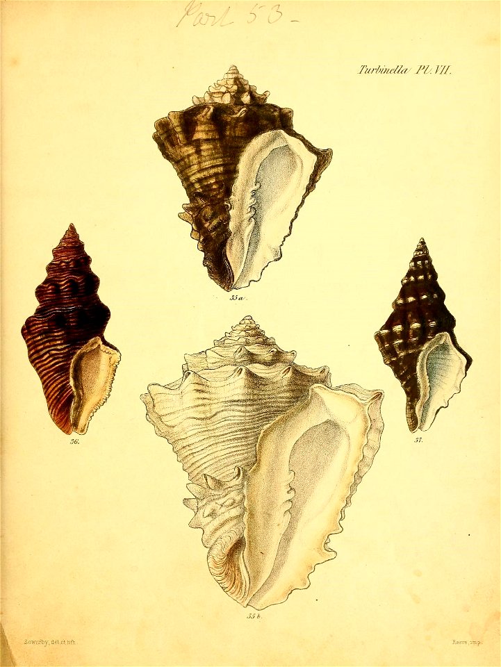 n358_w1150