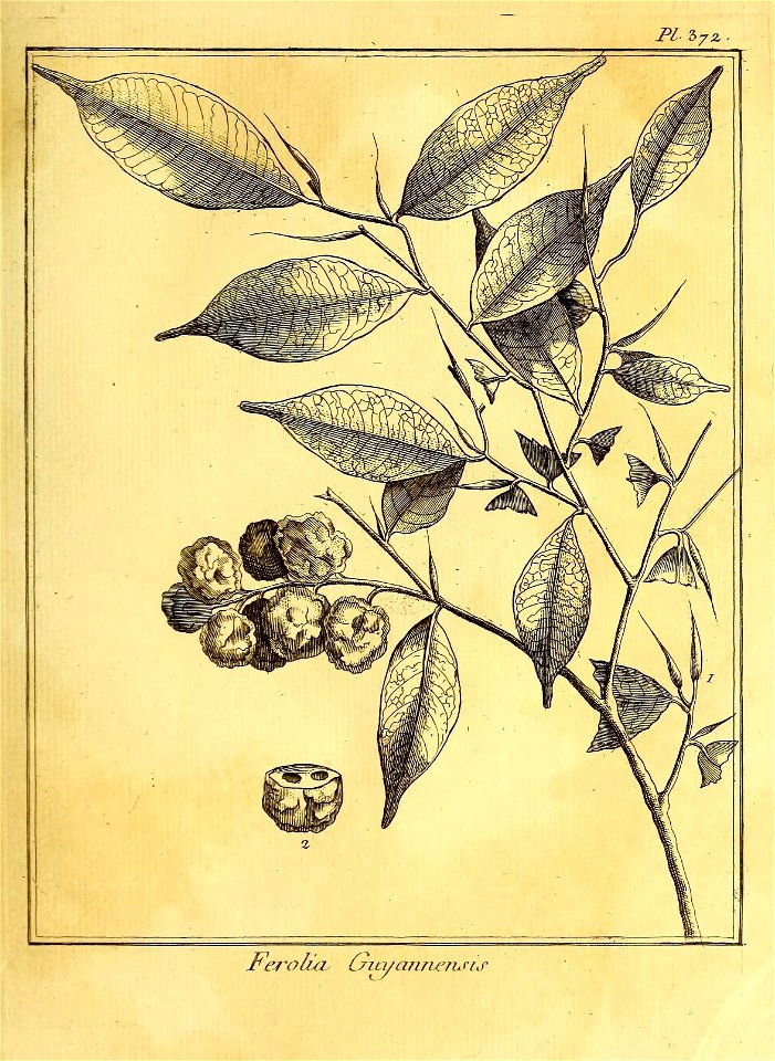 n368_w1150