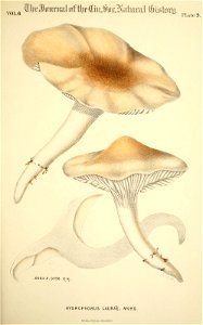 n96_w1150